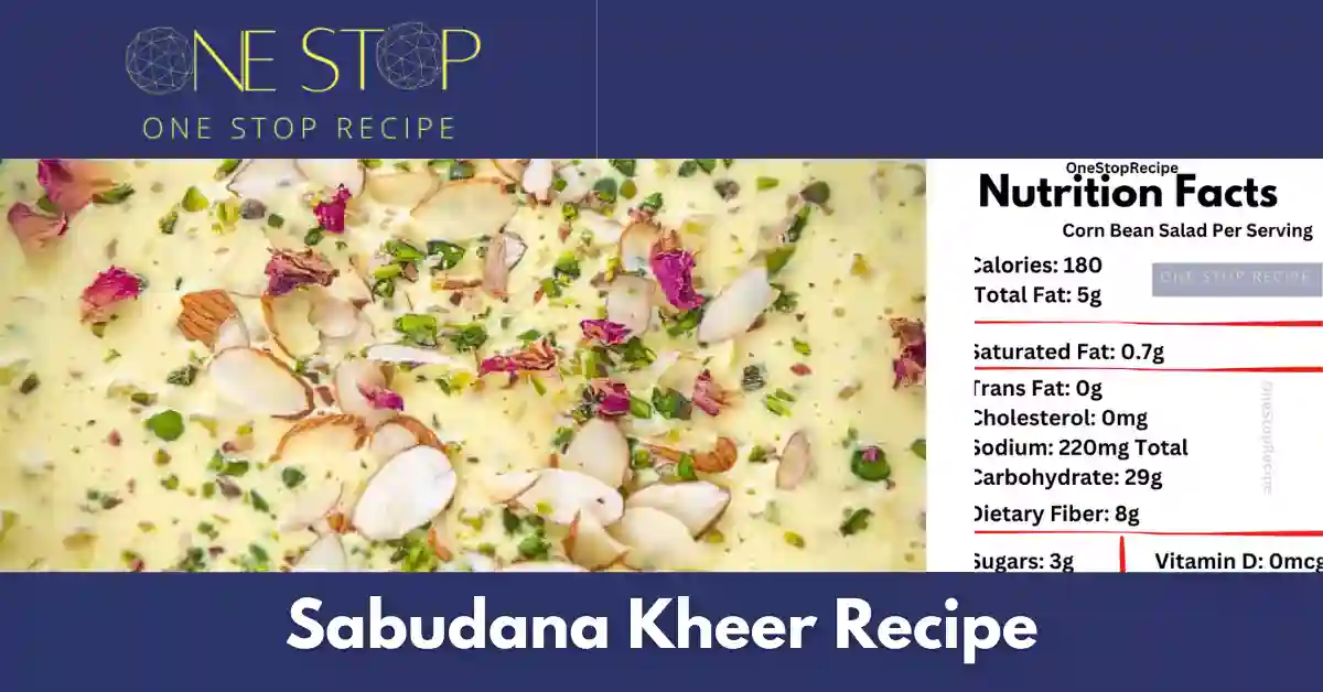 Thumbnail for Sabudana Kheer Recipe|साबूदाना खीर बनाने की विधि -OneStopRecipe