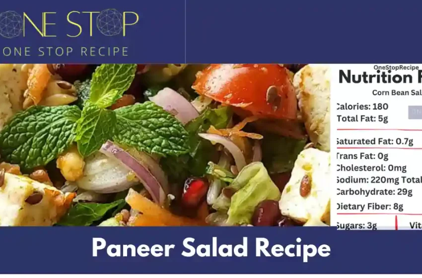 Thumbnail for Paneer Salad Recipe|पनीर सलाद बनाने की विधि -OneStopRecipe