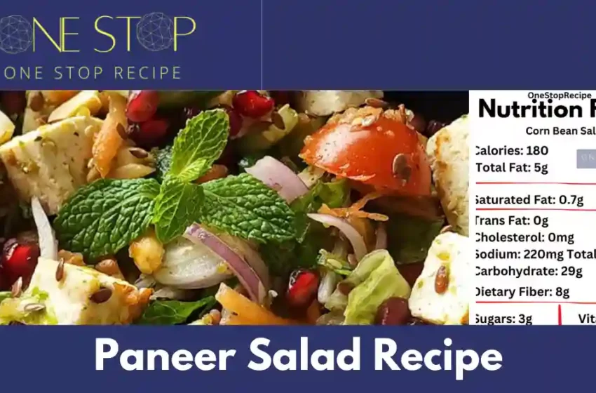Thumbnail for Paneer Salad Recipe|पनीर सलाद बनाने की विधि -OneStopRecipe